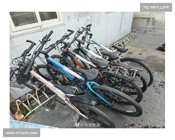 意大利严打自行车盗窃团伙，涉案车辆均安装定位芯片助破案